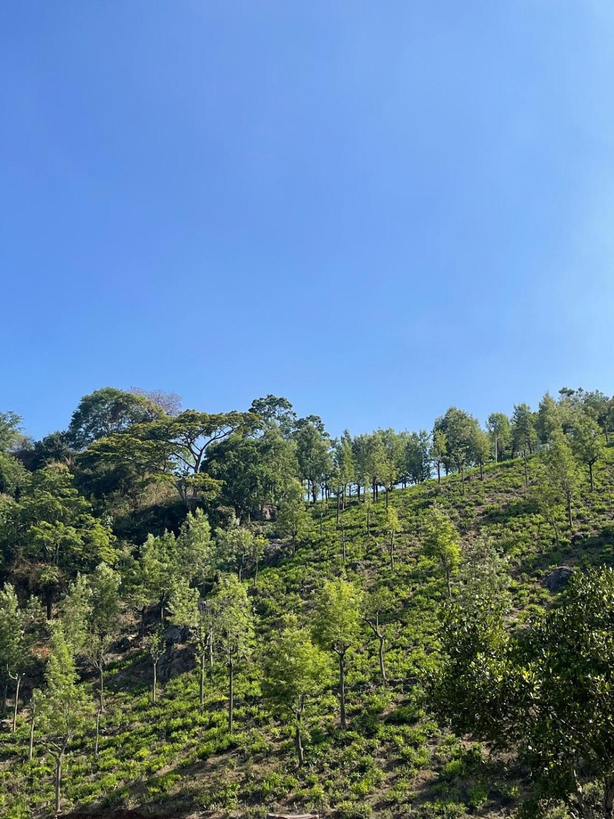 Casa De Kcn Villa Kotagiri Exteriör bild